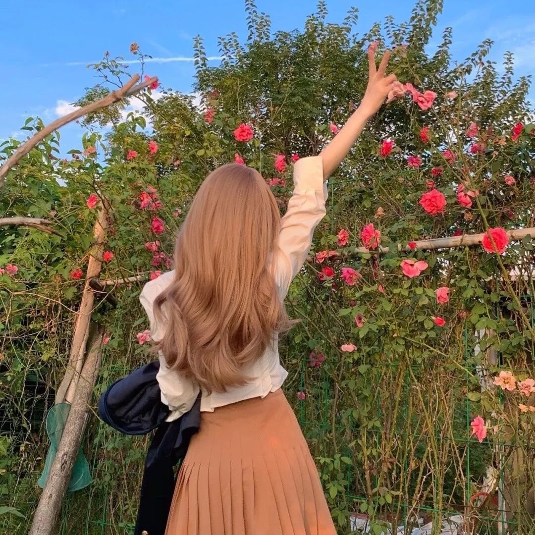 我的青春路过你的锦年